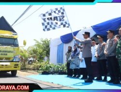 Kapolda Jatim dan Forkopimda Panen Raya Jagung Kuartal III Banyuwangi Surplus Pangan 4 kali Lipat