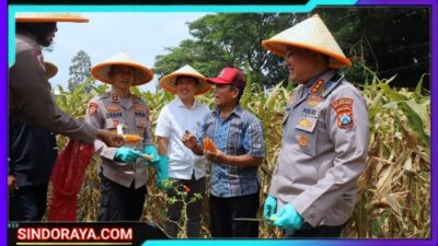 Dukung Swasembada Pangan Nasional, Polresta Malang Kota Targetkan Lahan 26,35 Hektar Untuk Kuartal IV