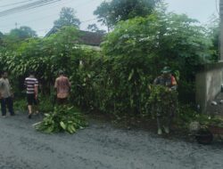 Wujudkan Lingkungan Sehat, Babinsa Bersama Warga Karangtengah Gotong Royong Bersihkan Jalan