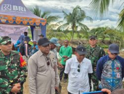 Dukung Ketahanan Pangan Nasional, HST Targetkan 200 Hektar Sawah Baru