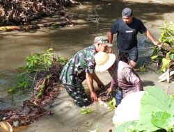 TNI dan Warga Gotong Royong Atasi Pohon Tumbang di Sungai Tabu Darat