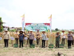Polres Tulungagung Gelar Panen Raya Jagung, Kuartal III di Desa Pakel Kecamatan Ngantru