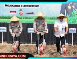 Kapolda Jatim Pimpin Penanaman Jagung Serentak Kwartal IV di Mojokerto Pakai Benih Eco Bhayangkara