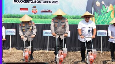 Kapolda Jatim Pimpin Penanaman Jagung Serentak Kwartal IV di Mojokerto Pakai Benih Eco Bhayangkara