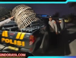 Polres Lamongan Bongkar Arena Judi Sabung Ayam di Dua Lokasi