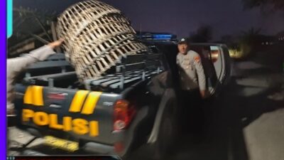 Polres Lamongan Bongkar Arena Judi Sabung Ayam di Dua Lokasi