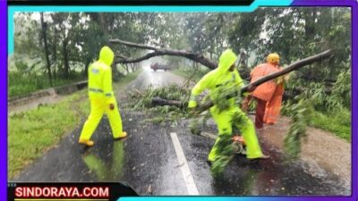 Respon Cepat Polisi dan BPBD Evakuasi Pohon Tumbang, Jalur Magetan – Bendo Kembali Lancar