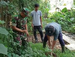 Babinsa Dan Warga Ngadirejo, Tanam Pohon Beringin Dan Saman Untuk Lestarikan Alam Dan Sumber Air