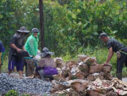 Meski Di Guyur Hujan Anggota Satgas TMMD ke 126 Kodim 1208/Sambas Tetap Semangat Angkut Material Untuk Rabat Beton
