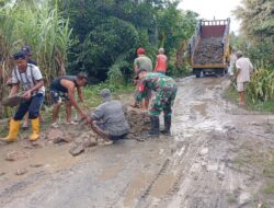 Babinsa Koramil 04/Jawai Laksanakan Kerja Bakti Timbun Jalan Berlubang
