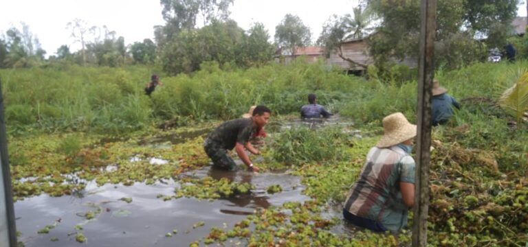 IMG-20251024-WA0230