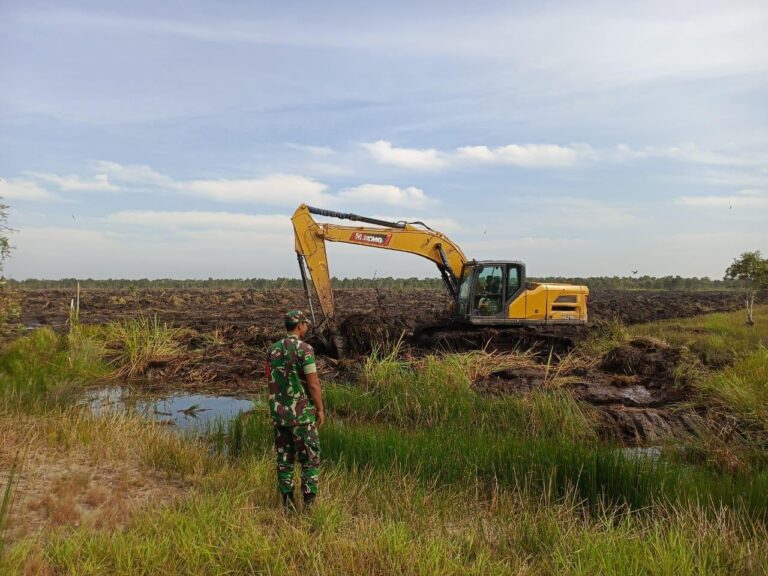 IMG-20251026-WA0149