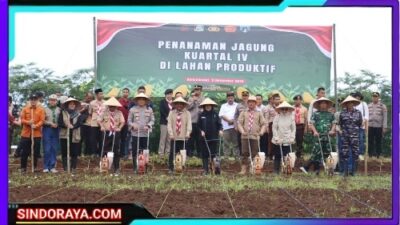 Polresta Banyuwangi Dorong Penguatan Ketahanan Pangan Lewat Penanaman Jagung Kuartal IV 2025