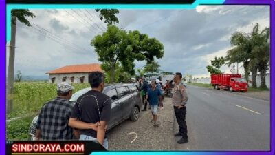 Operasi Zebra Semeru 2025: Polres Situbondo Ungkap Dugaan Penggelapan Mobil Rental
