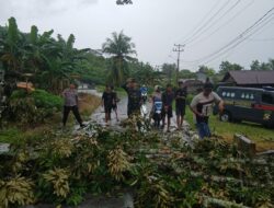Babinsa Koramil 05/Pemangkat dan Warga Gelar Karya Bakti Bersihkan Pohon Tumbang Akibat Angin Kencang
