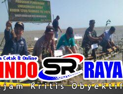 Koramil 08/Paloh Ikuti Penanaman Pohon Mangrove di Pesisir dalam Program Pemeliharaan Lingkungan Hidup