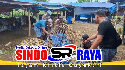 Polresta Banyuwangi Bongkar Arena Judi Sabung Ayam