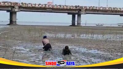 Sigap, Dit Polairud Polda Jatim Selamatkan Dua Anak Terjebak Lumpur di Pantai Kenjeran