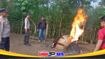 Polres Malang Bongkar Arena Judi Sabung Ayam di Kalipare