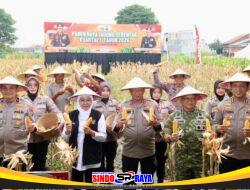 Polda Jatim Gelar Panen Raya Jagung Serentak Kuartal IV di Sidoarjo