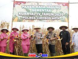 Panen Raya Jagung Serentak Dukung Swasembada Pangan di Kalijaga