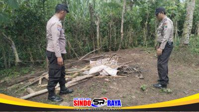 Polres Malang Kembali Bongkar Area Sabung Ayam di Kalipare