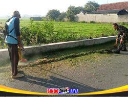Ciptakan Lingkungan Bersih, Babinsa Bersama Masyarakat Laksanakan Karya Bhakti