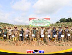 Kasdim 1009/Tanah Laut Hadiri Panen Jagung Serentak Kuartal I Tahun 2026 Polres Tanah Laut