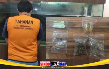 Tersangka pengedar ganja Surabaya dan barang bukti paket ganja siap edar hasil sitaan Polrestabes Surabaya.
