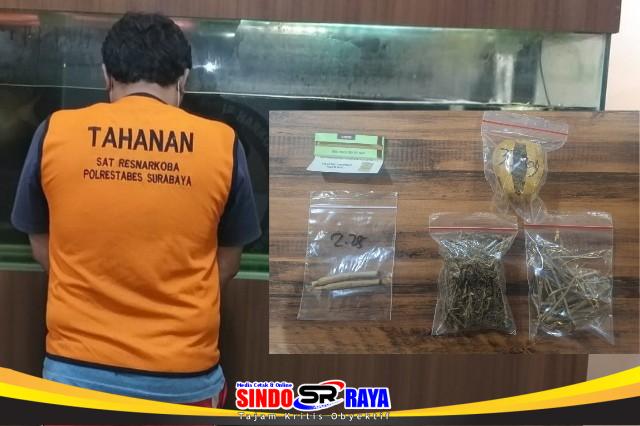 Tersangka pengedar ganja Surabaya dan barang bukti paket ganja siap edar hasil sitaan Polrestabes Surabaya.