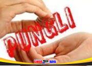 Pengusaha Kayu di Trenggalek Protes Dugaan Pungutan Liar, Tuntut Kepastian Hukum