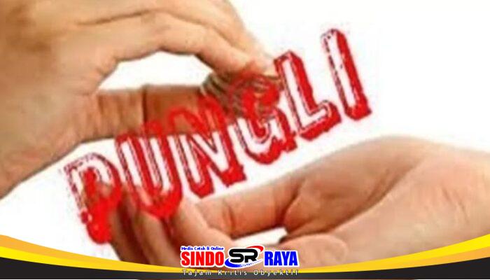 Pengusaha Kayu di Trenggalek Protes Dugaan Pungutan Liar, Tuntut Kepastian Hukum