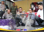 Polresta Sidoarjo Ungkap Perdagangan Ilegal Satwa Lindung Jaringan Internasional