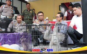 Polresta Sidoarjo Ungkap Perdagangan Ilegal Satwa Lindung Jaringan Internasional