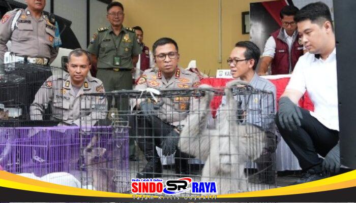 Polresta Sidoarjo Ungkap Perdagangan Ilegal Satwa Lindung Jaringan Internasional