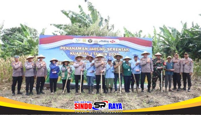 Perkuat Ketahanan Pangan 2026, Polres Pelabuhan Tanjung Perak Gelar Tanam Jagung Serentak Gandeng Poktan dan Bulog