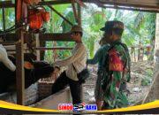 Sukseskan Program Kesehatan Hewan Ternak, Babinsa Kodim 1009/Tla Dampingi Tim Kesehatan Hewan Tala