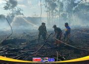 Aksi Cepat Babinsa dan Tim Gabungan Padamkan Kebakaran Lahan 1,5 Hektare di Kelua