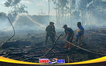 Aksi Cepat Babinsa dan Tim Gabungan Padamkan Kebakaran Lahan 1,5 Hektare di Kelua