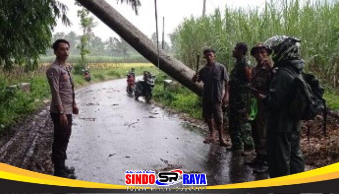 Puting Beliung Terjang Sukosari Bondowoso, Respons Cepat Polri Tuai Apresiasi Warga