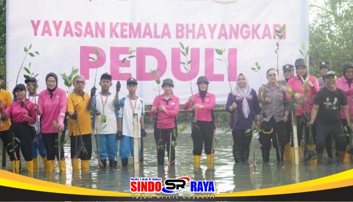 YKB Tanjung Perak Tanam Ratusan Mangrove dan Baksos di Kalianak Sambut HUT ke-46