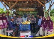 Dukung Program Asta Cita, Polsek Kenjeran Panen Raya 1,8 Ton Jagung Manis di Tambak Wedi.