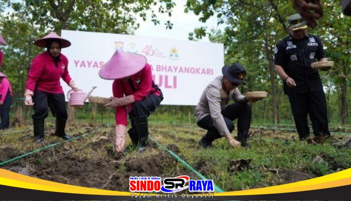 Polres Bojonegoro Sulap Lahan Kosong Jadi Kebun Jagung Wujudkan Swasembada Pangan