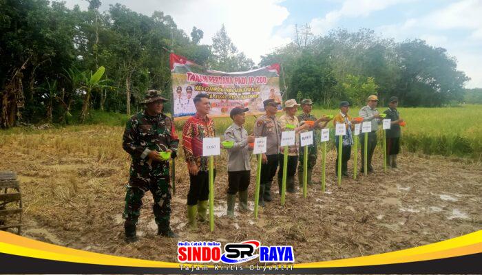 Panen Raya Padi di Juai, TNI Tegaskan Komitmen Dampingi Petani