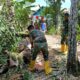 Sigap! Satgas Jembatan Garuda Bersihkan Pohon Tumbang yang Halangi Distribusi Material