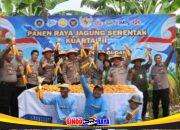 Personel Polsek Kenjeran bersama warga dan petani saat Panen Raya Jagung Serentak di Tambak Wedi, Surabaya.