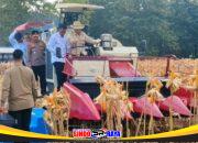 Presiden Prabowo dan Kapolri Panen Raya Jagung Nasional di Tuban Perkuat Ketahanan Pangan
