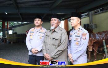 Polres Gresik Salurkan 15 Sapi dan 76 Kambing Kurban untuk Masyarakat pada Iduladha 2026