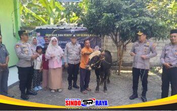 Kapolres Jombang Serahkan Sapi Kurban dari Kapolda Jatim untuk Dua Ponpes