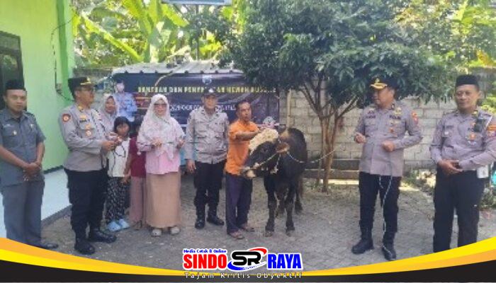Kapolres Jombang Serahkan Sapi Kurban dari Kapolda Jatim untuk Dua Ponpes